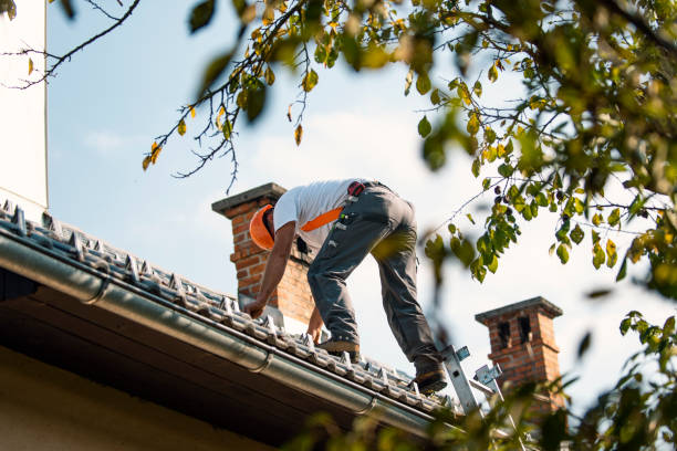 Best Roof Gutter Cleaning  in Logan, IA