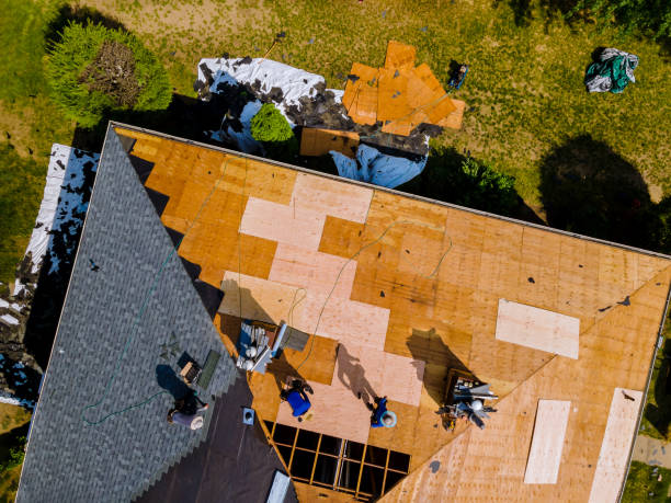 Best Metal Roofing Contractor  in Logan, IA