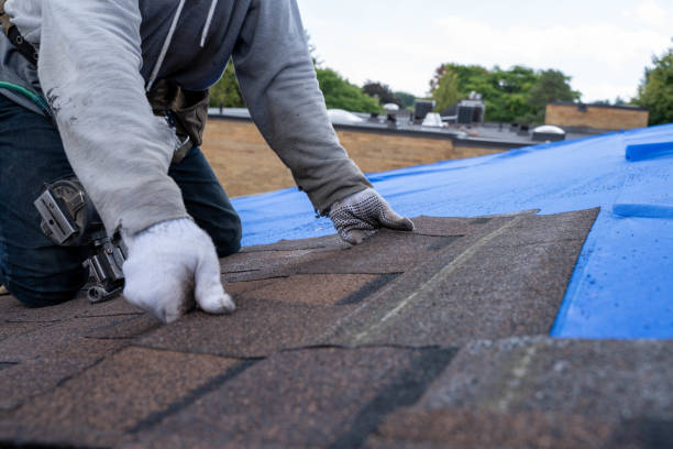 Trusted Logan, IA Roofing Contractor Experts