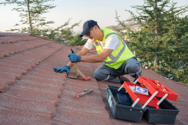 Best Storm Damage Roof Repair  in Logan, IA
