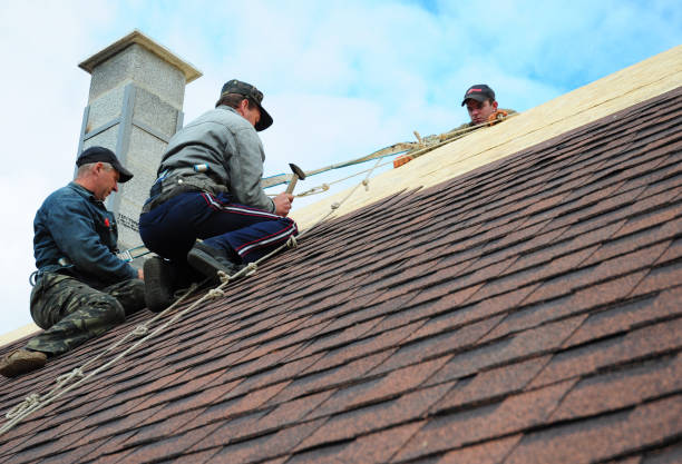 Best Roof Maintenance Services  in Logan, IA